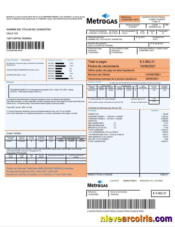 Argentina Metrogas utility bill